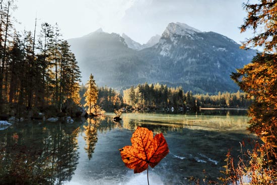 Hintersee in autumn with an orange-colored leaf in the foreground