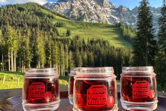 Shots on the mountain pasture with a view of the mountains