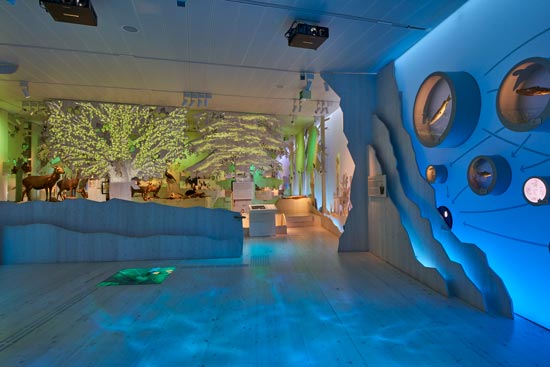 Die Ausstellung im Haus der Berge Die Ausstellung im Haus der Berge