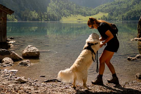 Trip to Kingslake with your dog. Trip to Kingslake with your dog.